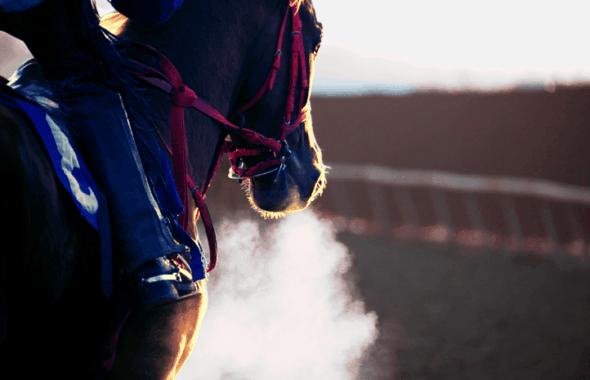 競馬の馬券とコインを前に、お金の使い方やリスクについて考える若者のイメージ。投資とギャンブルの違いを象徴するビジュアル